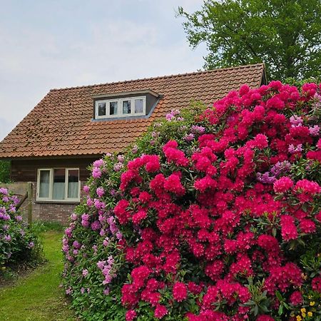 Holiday Home Countryside, Langbroek / Doorn Exterior foto